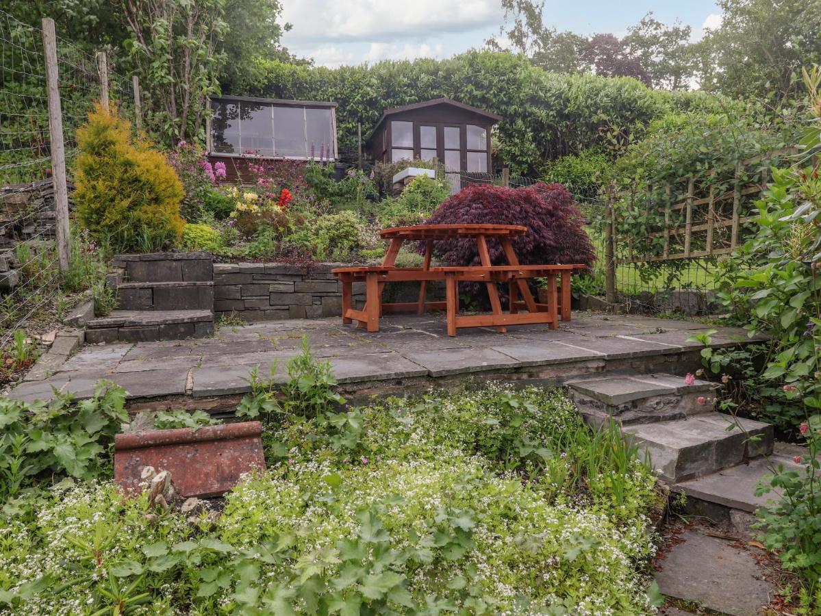 Primrose * Ambleside